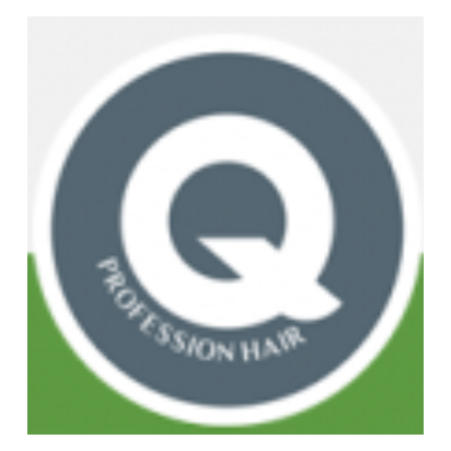 Q Professional